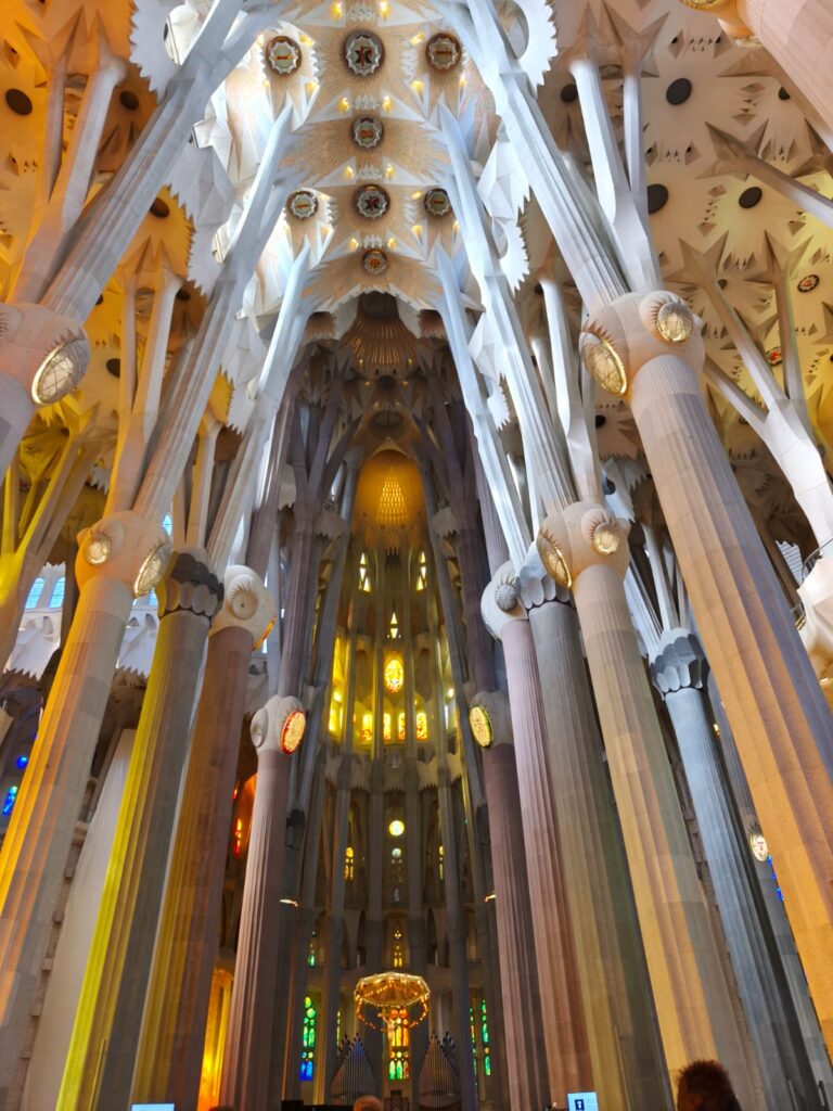 columnas
